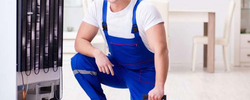 نمایندگی یخچال دوو در میبد | تعمیر تخصصی یخچال Daewoo با ضامینس 09136446779